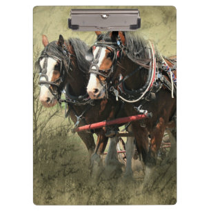Vintage verwitterte Clydesdale-Postkarte Klemmbrett