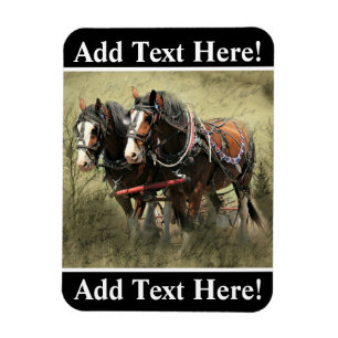 Vintage verwitterte Clydesdale-Postkarte Magnet