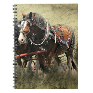 Vintage verwitterte Clydesdale-Postkarte Notizblock