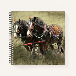 Vintage verwitterte Clydesdale-Postkarte Notizblock