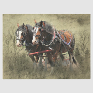 Vintage verwitterte Clydesdale-Postkarte Seidenpapier