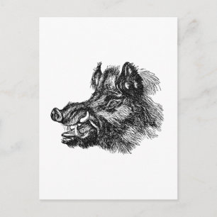 Vintage Vicious Wildschwein mit Hauern Vorlage Postkarte