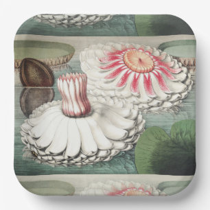 Vintage Victoria Regia Seerosen Kunst Druck Pappteller
