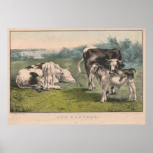 Vintage Vieh-Bauernhof-Illustration (1856) Poster