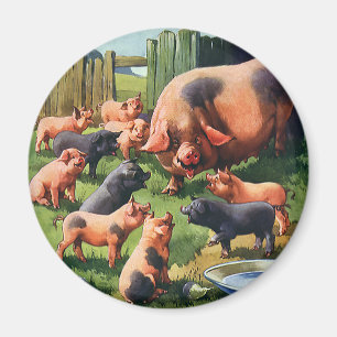 Vintage Vieh, Schwein mit niedlichen Baby-Ferkeln Magnet