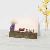 Vintage Viehweide Karte (Gelbe Blume)