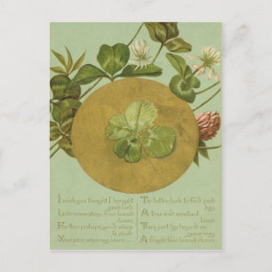Vintage-Vierblattklee-St.-Patricks-Day-Karte Postkarte