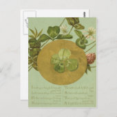 Vintage Vierblättriges Kleeblatt St Patrick's Day Postkarte (Vorne/Hinten)