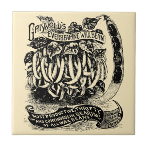 Vintage Viktorianische Ära Obst und Gemüse Bohnen  Fliese