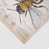 Vintage Viktorianische Bienenerklärung Seidenpapier (Ausschnitt)