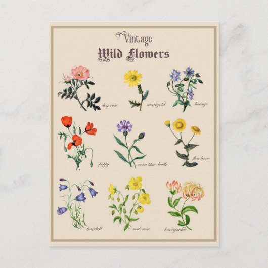 Vintage Viktorianische Blume Postkarte (Vorderseite)