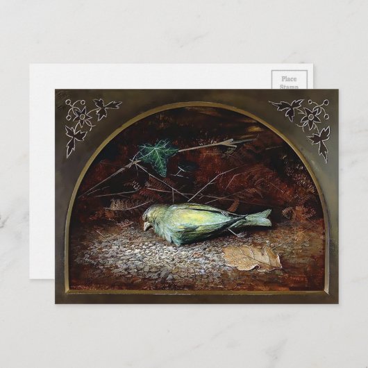 Vintage Viktorianische Dead Bird Postkarte (Vorne/Hinten)