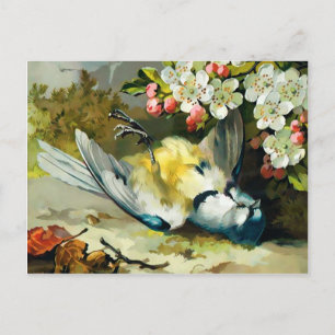 Vintage Viktorianische Dead Bird Postkarte