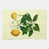 Vintage Viktorianische Era Lemon Botanische Illust Geschirrtuch (Horizontal)