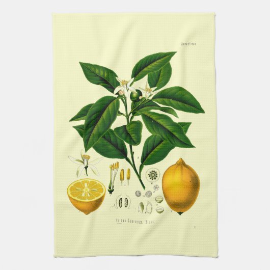Vintage Viktorianische Era Lemon Botanische Illust Geschirrtuch (Vertikal)
