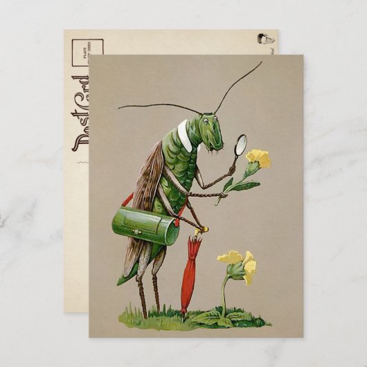 Vintage Viktorianische Grasshopper Postkarte (Vorne/Hinten)