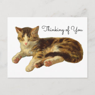 Vintage viktorianische Katze Cat Nap Art - In Geda Postkarte