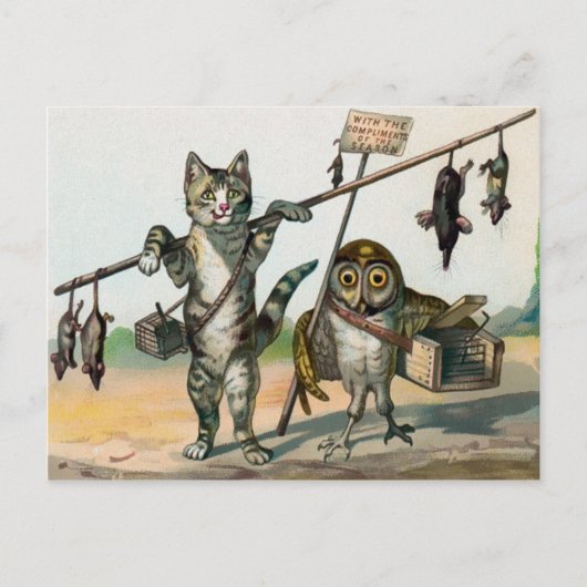 Vintage Viktorianische Katze und Eule Postkarte (Vorderseite)