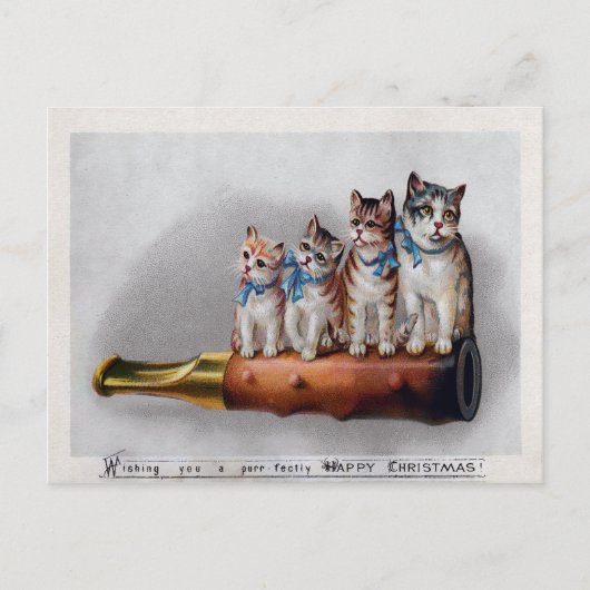 Vintage Viktorianische Katzen Weihnachten Postkarte (Vorderseite)