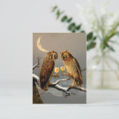 Vintage Viktorianische Owls Postkarte (Stehend Vorderseite)