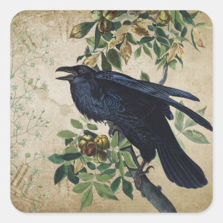 Vintage Viktorianische Raven Decoupage - Gotisches Quadratischer Aufkleber