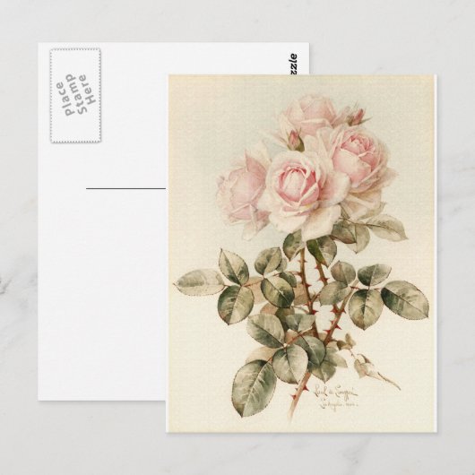 Vintage Viktorianische romantische Rose Postkarte (Vorne/Hinten)