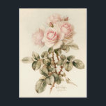 Vintage Viktorianische romantische Rose Postkarte<br><div class="desc">Vintage Viktorianische romantische Rose in einem hübschen Rosaton.</div>