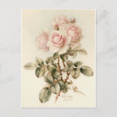 Vintage Viktorianische romantische Rose Postkarte (Vorderseite)