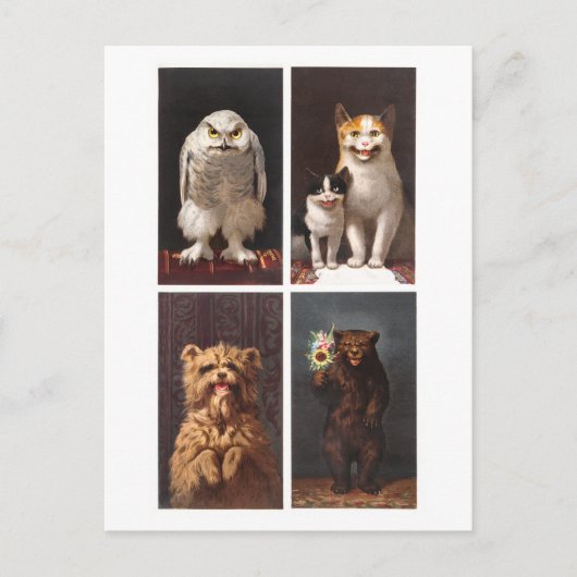 Vintage Viktorianische Tiere Postkarte (Vorderseite)