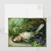 Vintage Viktorianische Tote Bird Weihnachten Postkarte (Vorne/Hinten)