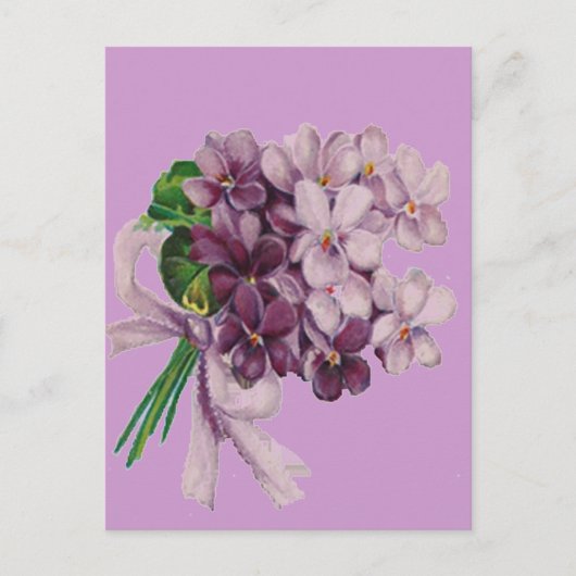 Vintage Violets Nosegay Bouquet Postkarte (Vorderseite)