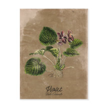 Vintage Violett-Postkarte