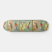 Vintage Vögel 2 Skateboard (Horizontal)