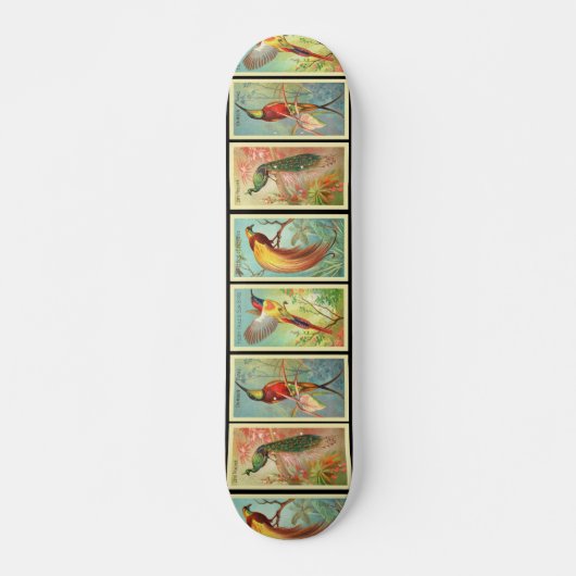 Vintage Vögel 2 Skateboard (Vorne)