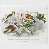 Vintage Vögel Alte Illustration Kunsttiere Geschenkpapier (Flach)