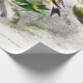 Vintage Vögel Alte Illustration Kunsttiere Geschenkpapier (Ecke)