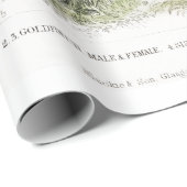 Vintage Vögel Alte Illustration Kunsttiere Geschenkpapier (Rolleneckpunkt)