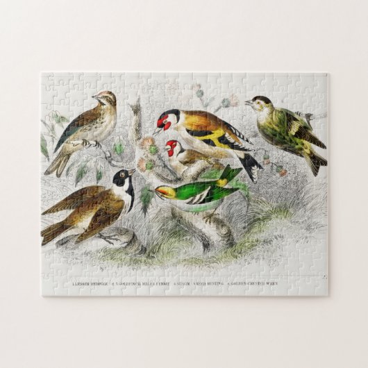 Vintage Vögel Altes Buch Illustration Kunst Puzzle (Horizontal)