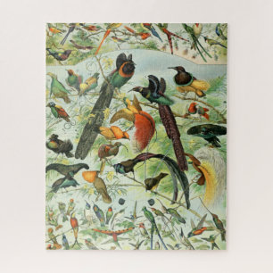 Vintage Vögel Altes Buch Illustration Kunst Tiere Puzzle