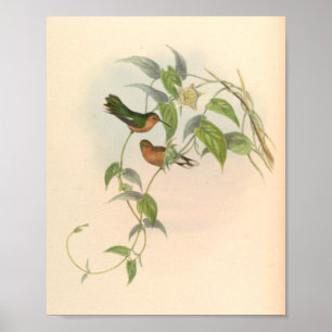 Vintage Vögel Art Bird Print Blume Poster