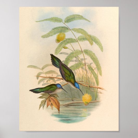 Vintage Vögel Art Bird Print Blume Poster (Vorne)