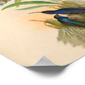 Vintage Vögel Art Bird Print Blume Poster (Ecke)