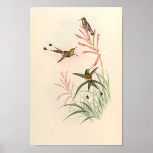 Vintage Vögel Art Bird Print Blume Poster