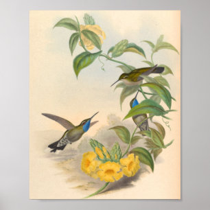 Vintage Vögel Art Bird Print Blume Poster