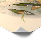 Vintage Vögel Art Bird Print Blume Poster (Ecke)