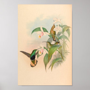 Vintage Vögel Art Bird Print Blume Poster