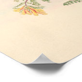 Vintage Vögel Art Bird Print Blume Poster (Ecke)