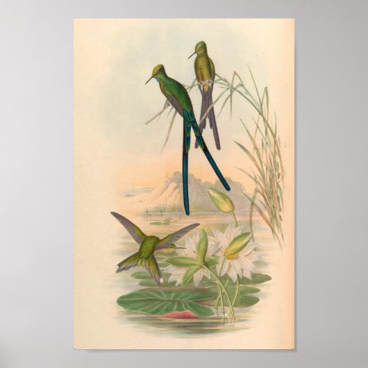 Vintage Vögel Art Bird Print Blume Poster (Vorne)