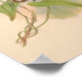 Vintage Vögel Art Bird Print Blume Poster (Ecke)