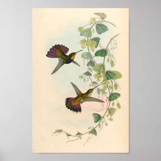 Vintage Vögel Art Bird Print Blume Poster (Vorne)